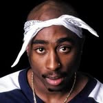 HOLLYWOOD | CELEBRITY NEWS | ENTERTAINMENT | GOSSIP | EXCLUSIVES profile